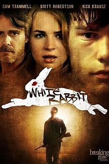 Beyaz Tavşan izle