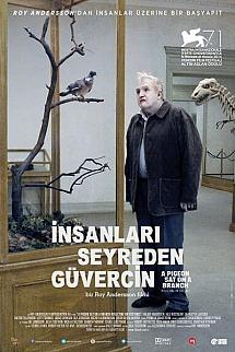 İnsanları Seyreden Güvercin izle