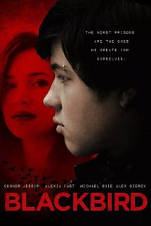 KarakuÅŸ izle