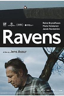 Kuzgunlar izle